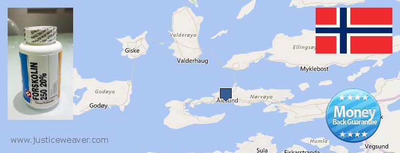 Where to Purchase Forskolin Diet Pills online Alesund, Norway