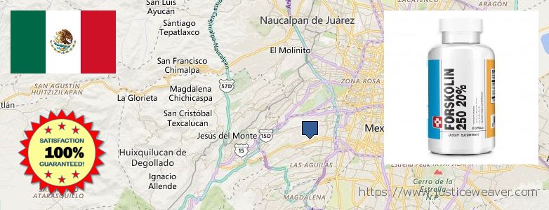 Where to Purchase Forskolin Diet Pills online Alvaro Obregon, Mexico