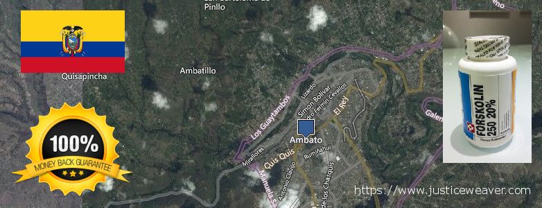 Where Can I Purchase Forskolin Diet Pills online Ambato, Ecuador