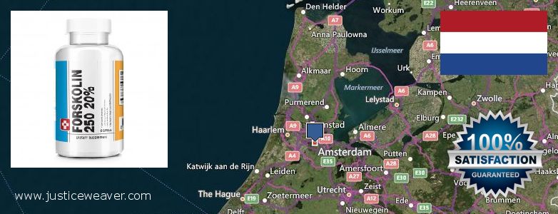Where to Purchase Forskolin Diet Pills online Amsterdam, Netherlands