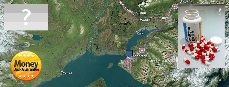 Wo kaufen Forskolin online Anchorage, USA