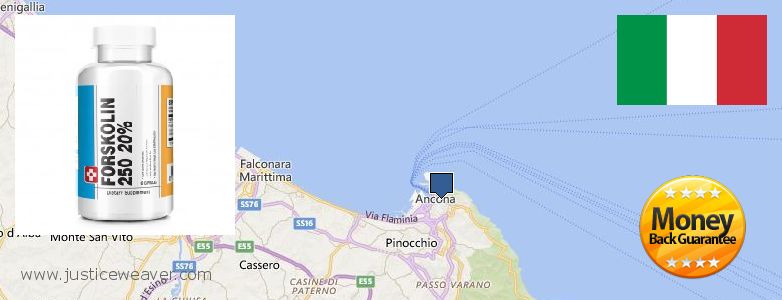 Where to Buy Forskolin Diet Pills online Ancona, Italy