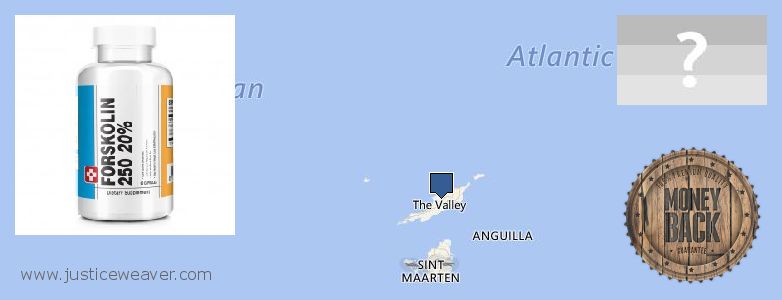 Where to Buy Forskolin Diet Pills online Anguilla