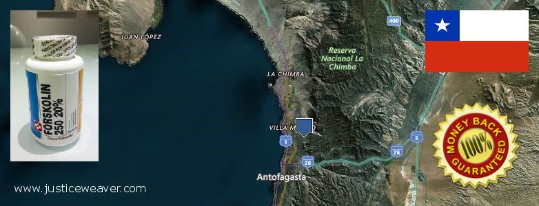 Comprar Forskolin en linea Antofagasta, Chile Dónde comprar Forskolin en linea Antofagasta, Chile