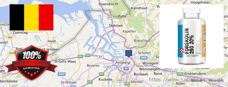 Where Can I Purchase Forskolin Diet Pills online Antwerp, Belgium