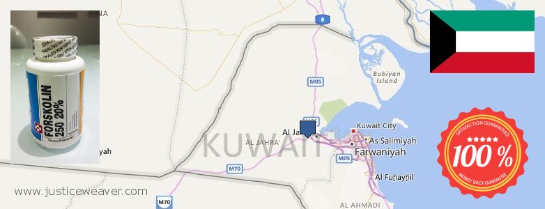 شراء Forskolin على الانترنت Ar Rumaythiyah, Kuwait حيث لشراء Forskolin على الانترنت Ar Rumaythiyah, Kuwait