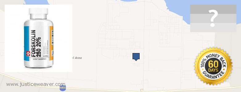 Best Place to Buy Forskolin Diet Pills online Ar Ruways, UAE