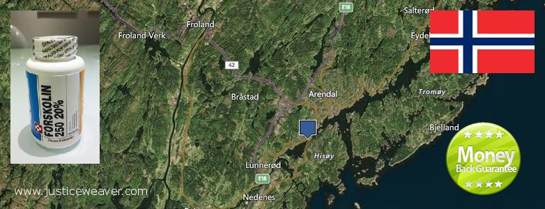 Where Can You Buy Forskolin Diet Pills online Arendal, Norway