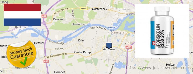 Where Can I Purchase Forskolin Diet Pills online Arnhem, Netherlands