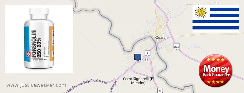 Where Can I Purchase Forskolin Diet Pills online Artigas, Uruguay