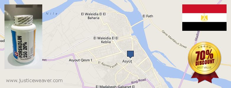 حيث لشراء Forskolin على الانترنت Asyut, Egypt
