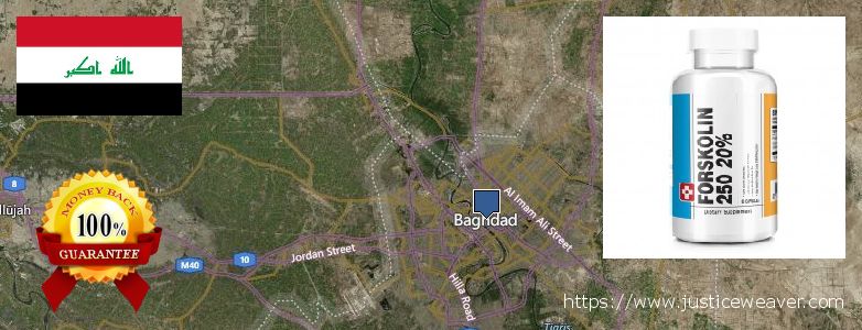 Where to Purchase Forskolin Diet Pills online Baghdad, Iraq