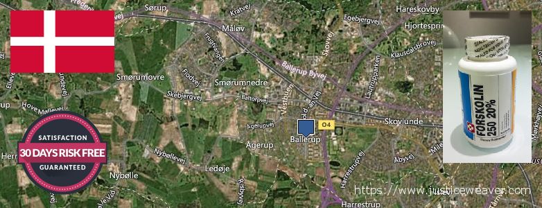 Wo kaufen Forskolin online Ballerup, Denmark