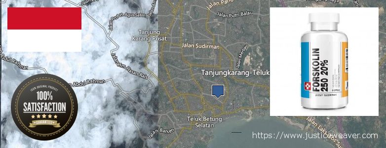 Dimana tempat membeli Forskolin online Bandar Lampung, Indonesia