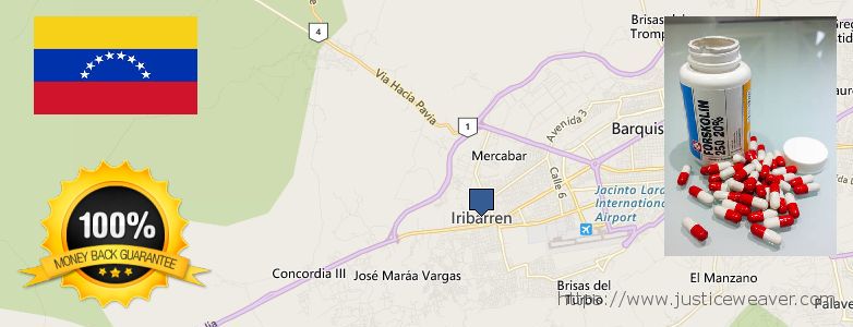 Comprar Forskolin en linea Barquisimeto, Venezuela Dónde comprar Forskolin en linea Barquisimeto, Venezuela