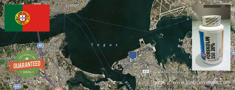 Onde Comprar Forskolin on-line Barreiro, Portugal