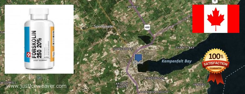 Où Acheter Forskolin en ligne Barrie, Canada