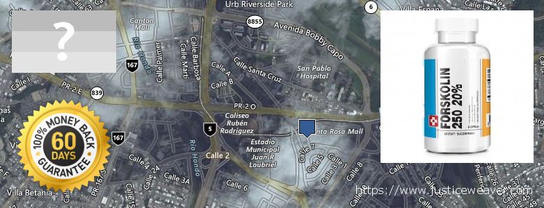 Dónde comprar Forskolin en linea Bayamon, Puerto Rico