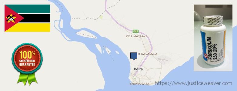 Onde Comprar Forskolin on-line Beira, Mozambique