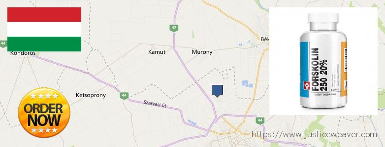 Hol lehet megvásárolni Forskolin online Békéscsaba, Hungary