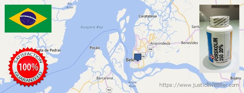 Onde Comprar Forskolin on-line Belem, Brazil