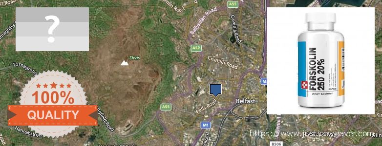 Dónde comprar Forskolin en linea Belfast, UK