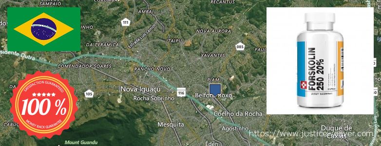 Onde Comprar Forskolin on-line Belford Roxo, Brazil