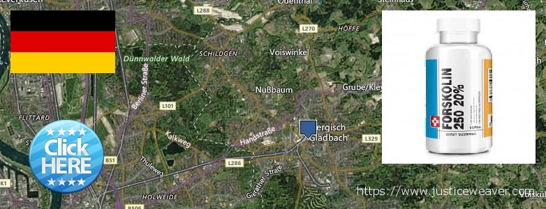 Hvor kan jeg købe Forskolin online Bergisch Gladbach, Germany