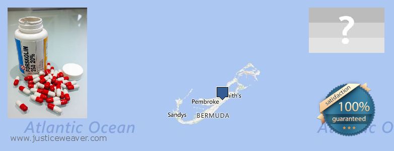 Dimana tempat membeli Forskolin online Bermuda