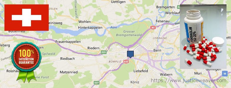 Dove acquistare Forskolin in linea Bern, Switzerland