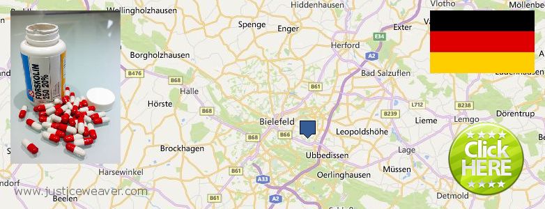 Hvor kan jeg købe Forskolin online Bielefeld, Germany