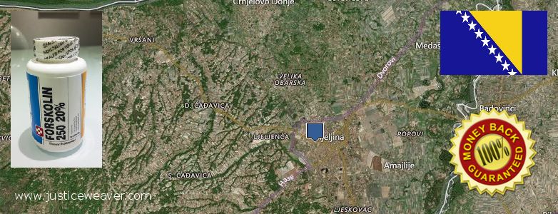 купити Forskolin онлайн Bijeljina, Bosnia and Herzegovina Де купити Forskolin онлайн Bijeljina, Bosnia and Herzegovina