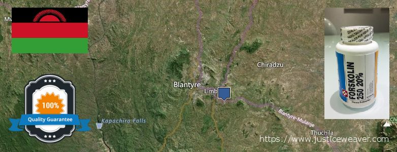 Where to Buy Forskolin Diet Pills online Blantyre, Malawi