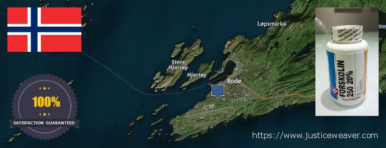 Jälleenmyyjät Forskolin verkossa Bodo, Norway