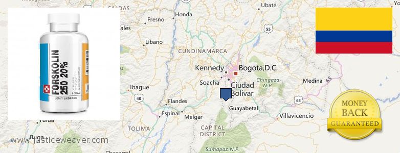 Where Can I Buy Forskolin Diet Pills online Bogota, Colombia