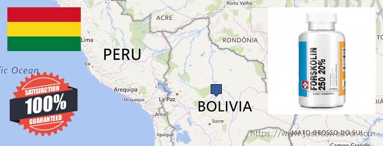 どこで買う Forskolin オンライン Bolivia