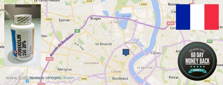 Where to Buy Forskolin Diet Pills online Bordeaux, France