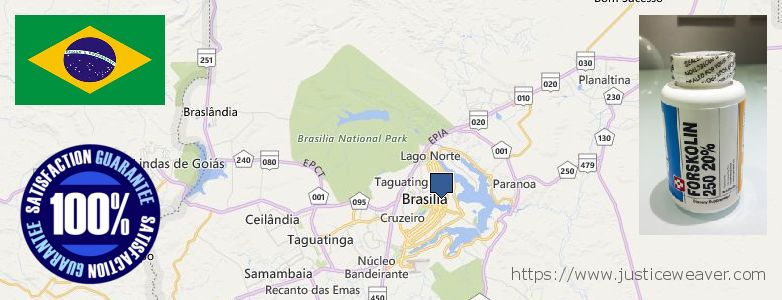 Comprar Forskolin en linea Brasilia, Brazil Dónde comprar Forskolin en linea Brasilia, Brazil