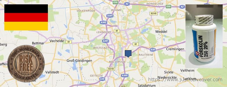 Wo kaufen Forskolin online Braunschweig, Germany