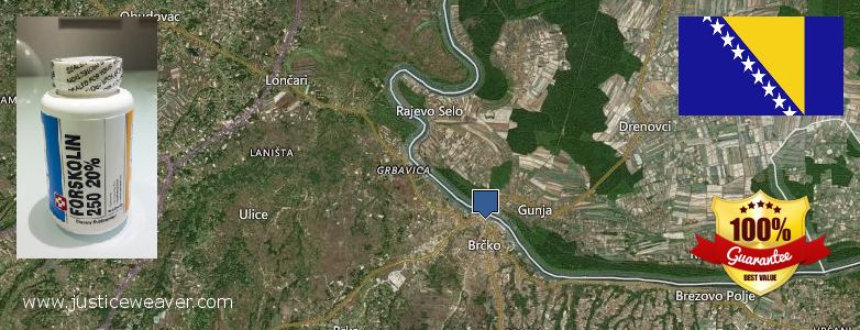 Nereden Alınır Forskolin çevrimiçi Brcko, Bosnia and Herzegovina