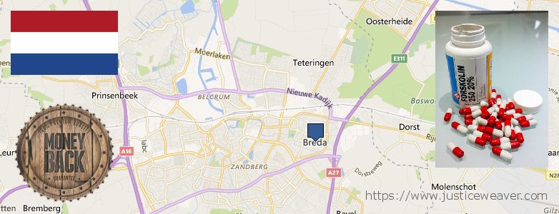 Waar te koop Forskolin online Breda, Netherlands