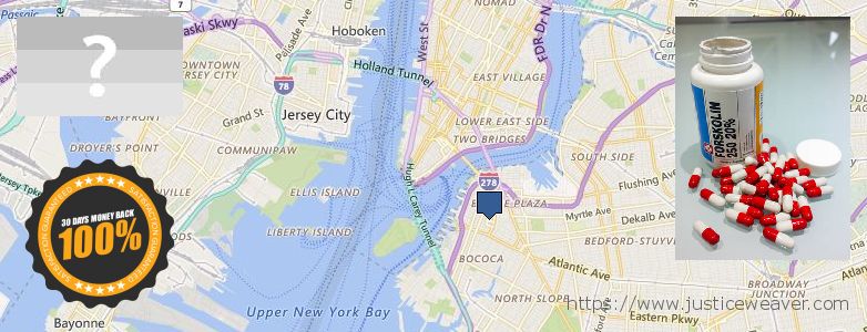 Buy Forskolin Diet Pills online Brooklyn, USA