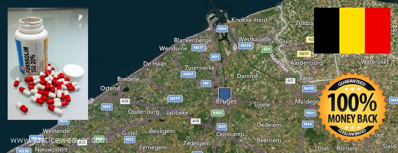 Wo kaufen Forskolin online Brugge, Belgium