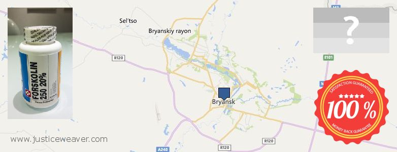 Где купить Forskolin онлайн Bryansk, Russia