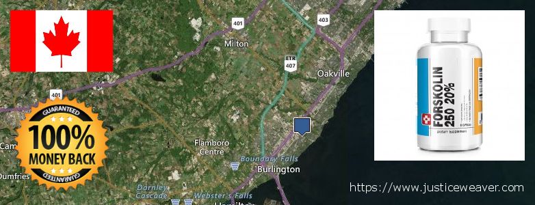 Acheter Forskolin en ligne Burlington, Canada Où Acheter Forskolin en ligne Burlington, Canada