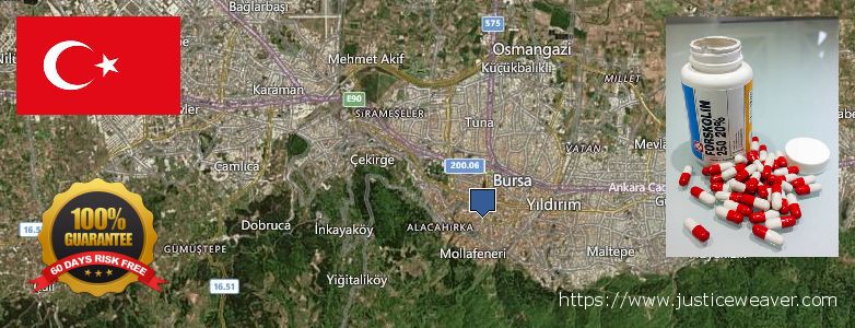 Where to Buy Forskolin Diet Pills online Bursa, Turkey