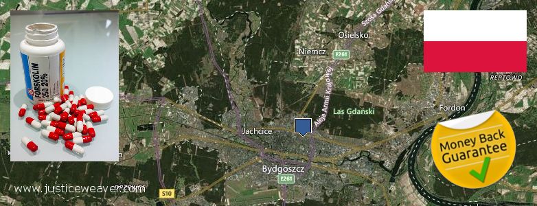 Де купити Forskolin онлайн Bydgoszcz, Poland