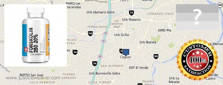 Where to Buy Forskolin Diet Pills online Caguas, Puerto Rico