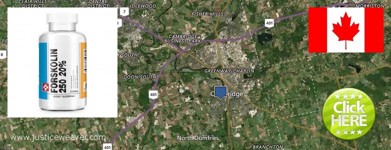 Buy Forskolin Diet Pills online Cambridge, Canada