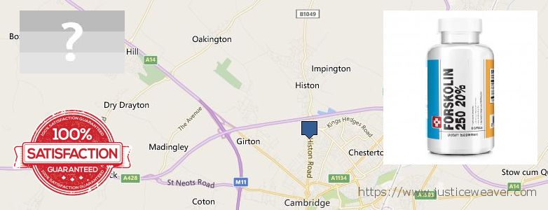 Dónde comprar Forskolin en linea Cambridge, UK